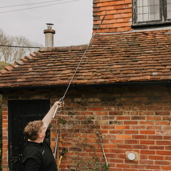 Photo of Kerminator®Wasp Lance in use